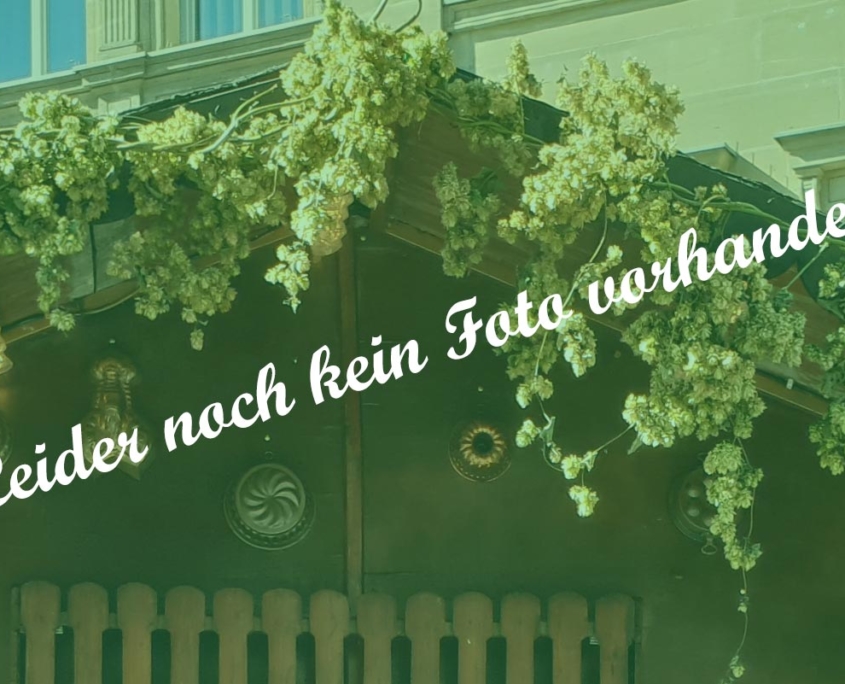 Herzhaft &amp; Flüssig – Michaelis-Kirchweih Fürth